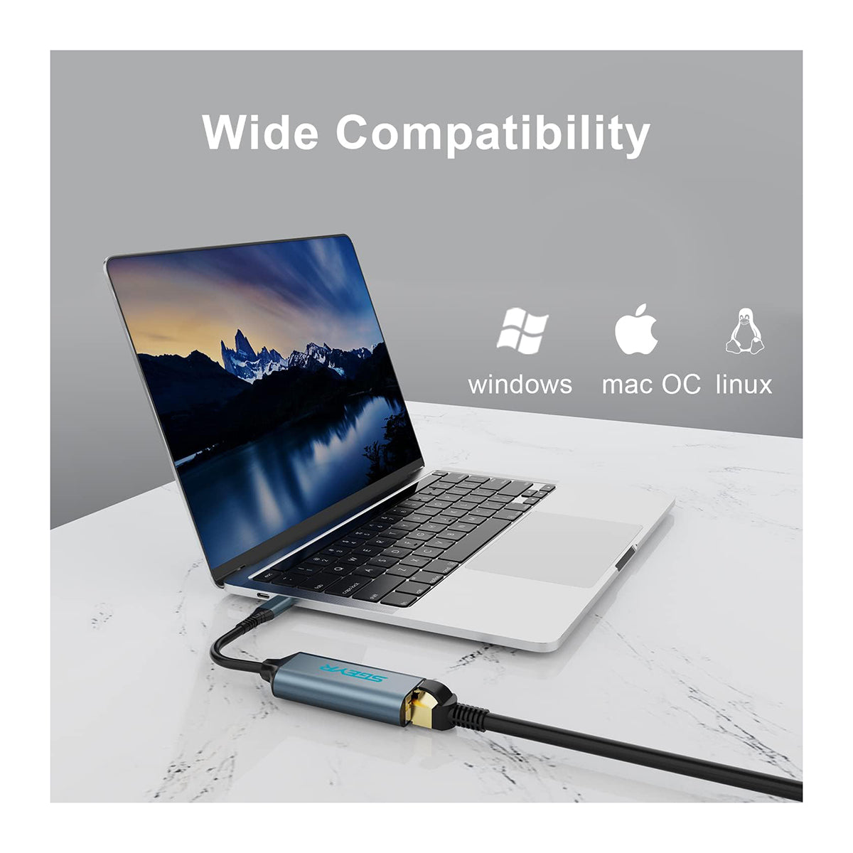 USB C to Ethernet Adapter